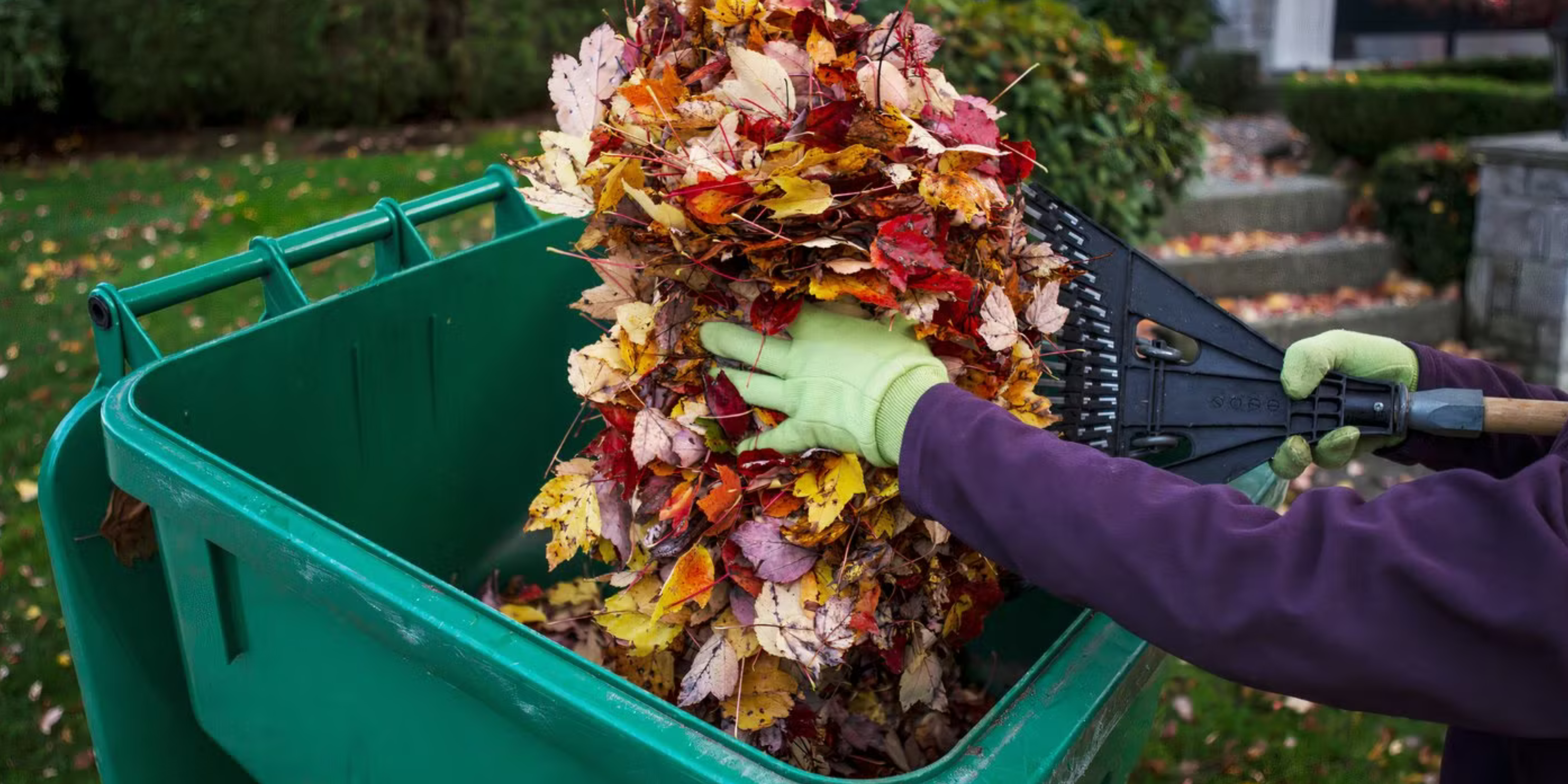 Raking Leaves